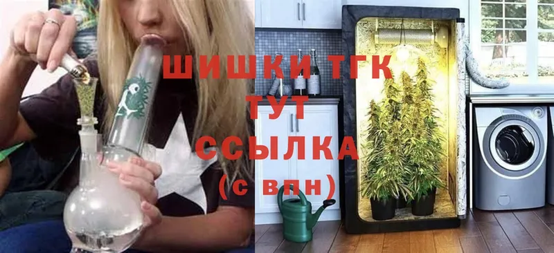 Канабис SATIVA & INDICA  Богородск 